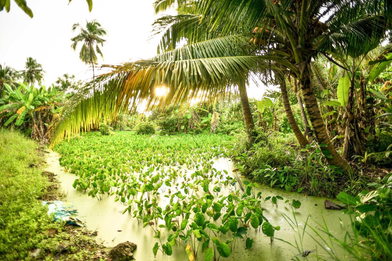 Veyli Residence Maldives, Fuvahmulah Addu City Zewnętrze zdjęcie