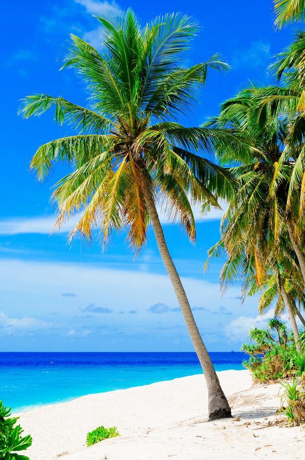 Veyli Residence Maldives, Fuvahmulah Addu City Zewnętrze zdjęcie